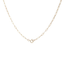 Load image into Gallery viewer, Eternal Gaze Charm + Inseparable Essence Necklace Duo