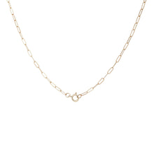 Load image into Gallery viewer, Triumphant Charm + Inseparable Essence Necklace Duo
